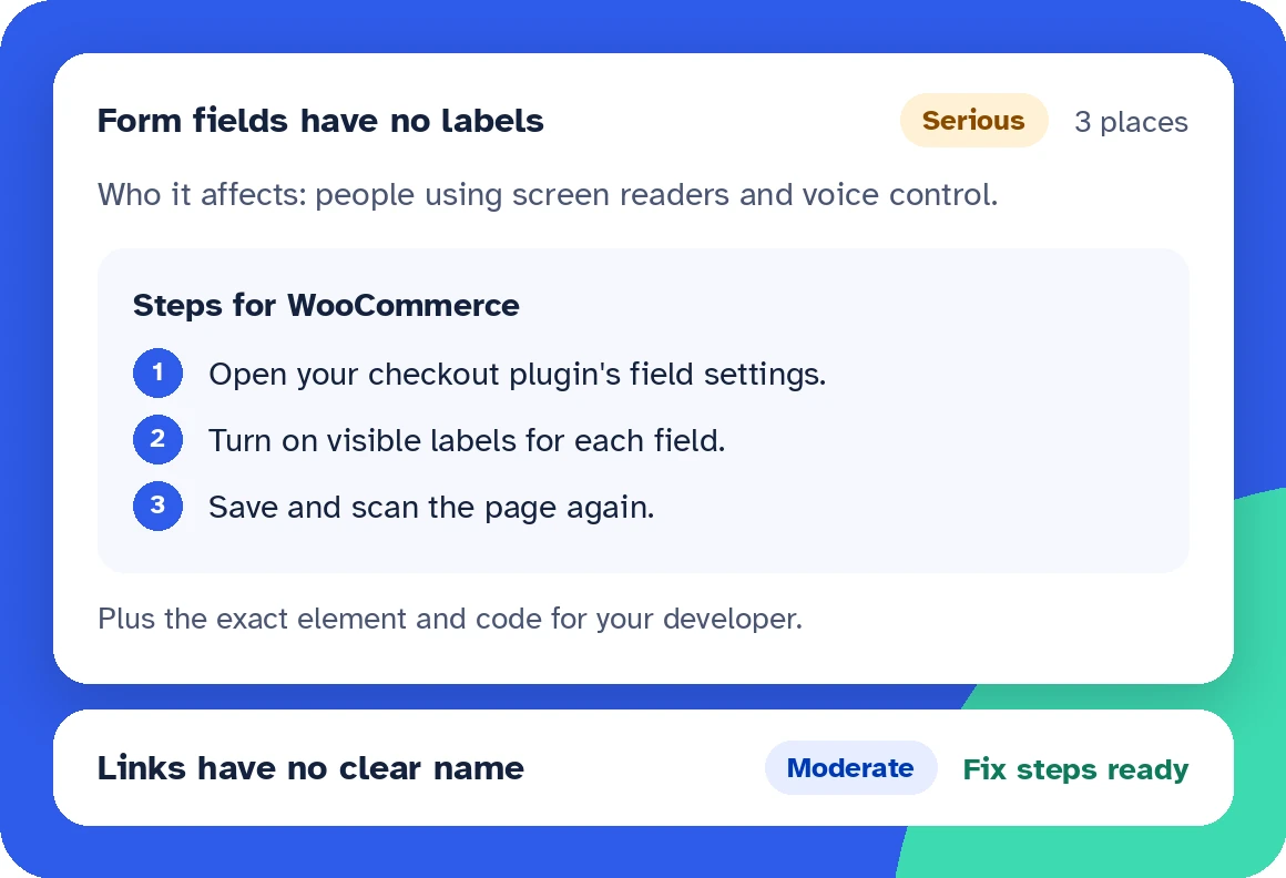 Sample full access report. The same issue opens up with three fix steps for WooCommerce: open your checkout plugin's field settings, turn on visible labels for each field, then save and scan the page again. The second issue shows its fix steps are ready.
